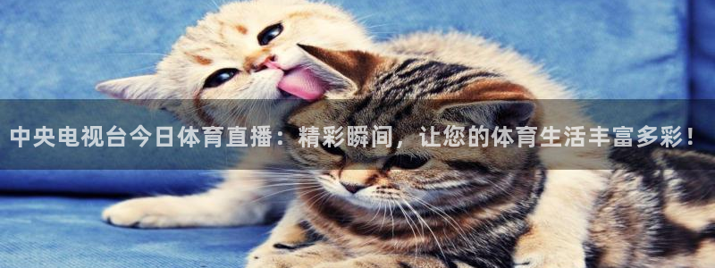 足球直播绿茵体育：中央电视台今日体育直播：精彩瞬间，让您的体育生活丰富多彩！