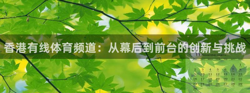 绿茵直播体育nba送红红单v2.红单足球.top：香港有线体育频道：从幕后到前台的创新与挑战