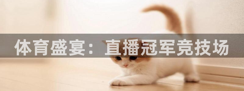 绿茵体育直播官网