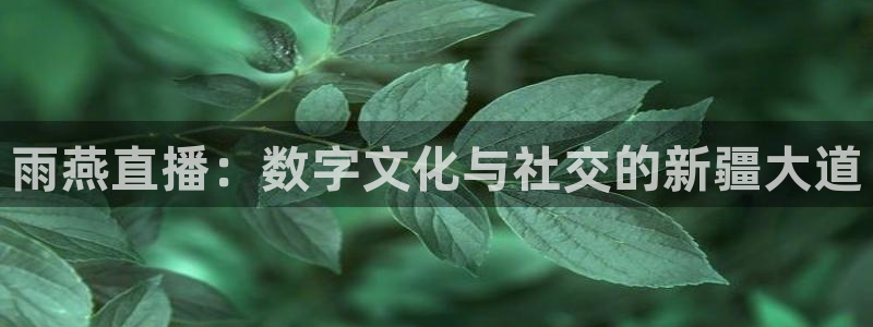 nba直播绿茵直播：雨燕直播：数字文化与社交的新疆大道