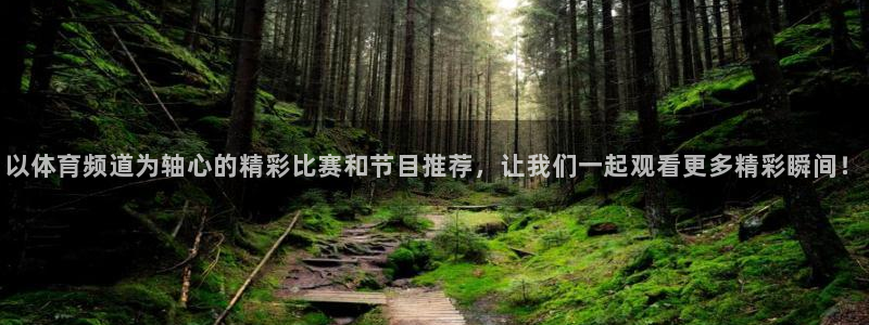 绿茵直播免费看球